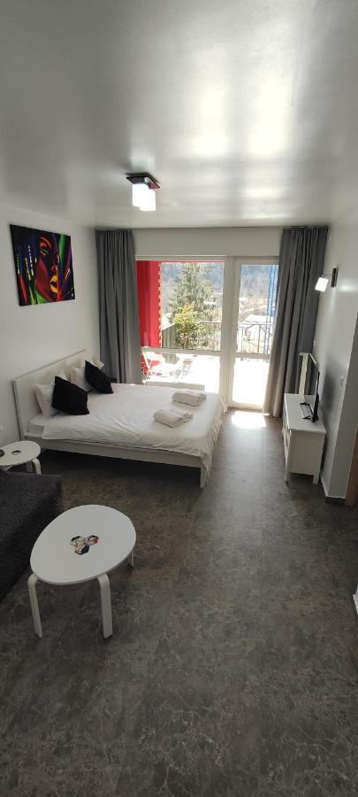 Belle View Sinaia-free Parking Apartament *
